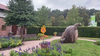 Rund 40.000 bunte Kürbisse sind für die Ausstellung in der Gartenschau in Kaiserslautern verarbeitet worden. 