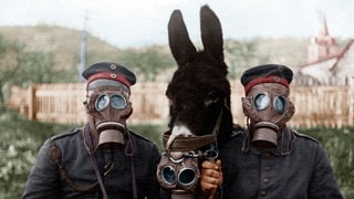 Deutsche Soldaten und ein Maultier mit Gasmasken 1917 während des Ersten Weltkriegs an der Westfront: Deutsche Truppen setzten 1915 Chlorgas ein, das bis in die französischen Schützengräben wehte und unzählige Opfer forderte. Es war der Beginn eines chemischen Wettrüstens mit Sarin, VX, Nowitschok. 