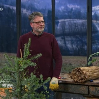 Heiko Hübscher erklärt, wie man Rosen im Winter schützen kann