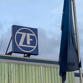 Das Firmenlogo des Automobilzulieferers ZF in Bad Neuenahr-Ahrweiler in einer Großaufnahme