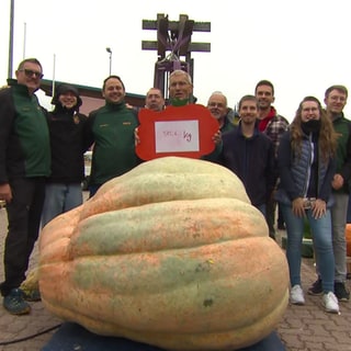 Stolze Gewinner des Wiegewettbewerb für Kürbisse