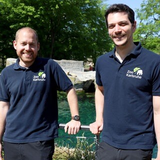 Tierärzte vom Zoo Karlsruhe Marco Roller (links) und Lukas Reese (rechts) stehen am Seehund-Becken.