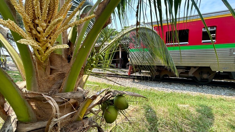 Die 40 Jahre alten Dieseltriebwagen warten in Ban Laem zwischen Kokospalmen auf die Rückfahrt nach Mae Klong. 
