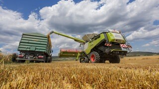 Ein Mähdrescher ist auf einem Feld unterwegs und lädt Wintergerste in einen Anhänger eines Traktors.