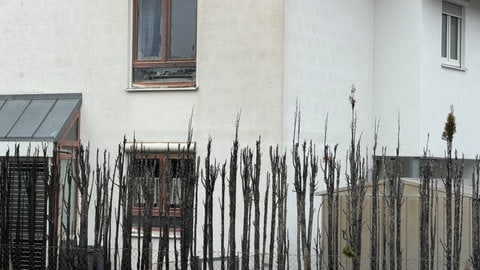 Eine abgebrannte Hecke vor einem Wohnhaus in Neu-Ulm. Ein Zehnjähriger hat durch das Zündeln mit Feuerwerkskörpern einen Heckenbrand in Neu-Ulm verursacht. Er stellte sich am Samstag in Begleitung seiner Eltern der Polizei.