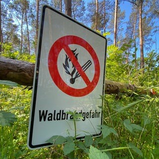 Ein Schild mit der Aufschrift "Waldbrandgefahr" steht im Wald.