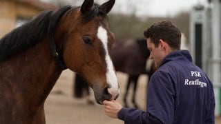 Im Reitstall Erlenhof stehen rund 80 Pferde. Ihre Besitzer könnten bald Steuern zahlen müssen. 