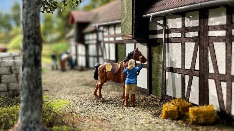 Pferdehof im Allertal: ländliche Idylle für Großstädter.