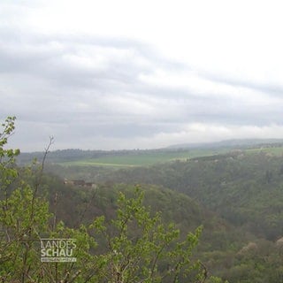Survival Camp auf der Schmidtburg im Hunsrück