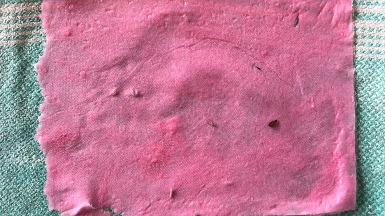 Nach 24 Stunden ist das Papier getrocknet und kann z.B. mit einem Stanzgerät Locher in Blumen-Konfetti verwandelt werden.  