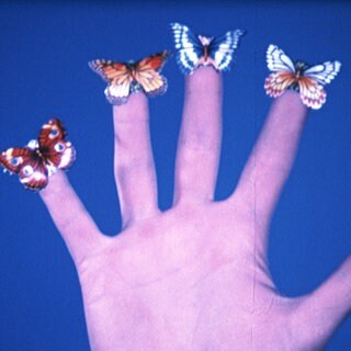 Jack Goldstein: Some Butterflies, 1975 (Filmstill)