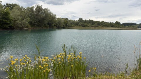 Der Baggersee Giesen in Dettenheim