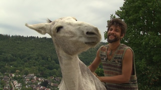 Julius krault seinen geretteten Esel.