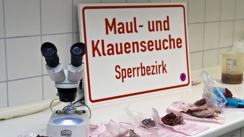 In einem Labor liegen Teile von Tieren zur Untersuchung