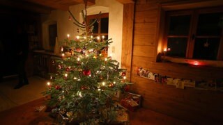 SWR1 Wundervolles Winter-Wissen