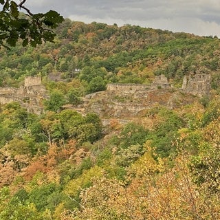 Burgruine