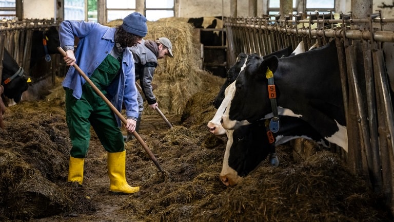 Albert (Alessio Hirschkorn) und Sebastian (Dominik Stricker) arbeiten gemeinsam im Stall