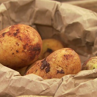 Kartoffeln in einer Papiertüte