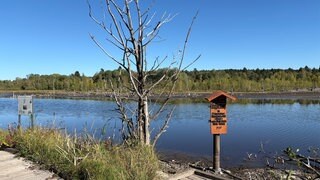 Neckarursprung Schwenninger Moos, Villingen-Schwenningen, Schwarzwald, Baden-Württemberg, Deutschland.