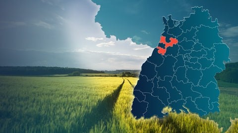 Symbolbild Wahlkreis 272 Karlsruhe Land, Bundestagswahl 2025