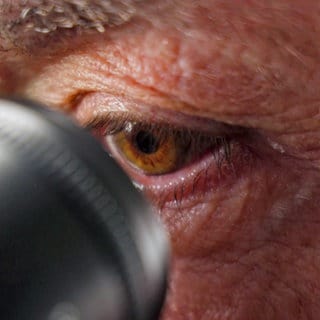 Mikrofotograf Frank Fox schaut duchs Mikroskop