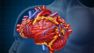 Herz und Gehirn ineinander übergehend (Grafik). Herz und Seele reagieren aufeinander. Wie genau, das erforscht die noch junge Disziplin der Psychokardiologie. 