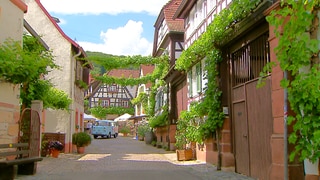 Die Winzergasse in Gleiszellen-Gleishorbach