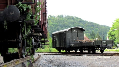 Impressionen von Nagold