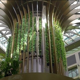 "Living Tree" - Begrünung des Luxuhotels Radisson in Berlin