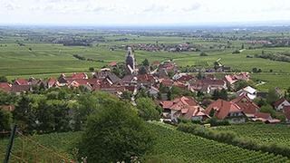 Ortsansicht von Burrweiler