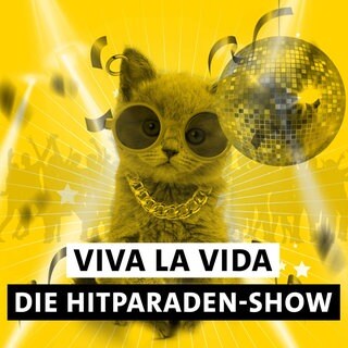 Kätzchen mit Disco-Kugel, Halskette und Ring im Ohr mit dem Text "Viva la Vida Die Hitparaden-Show".