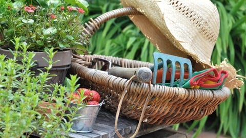 Utensielien für Gartenarbeit - Korb mit Gartengeräten, Strohhut, Obst- und Gemüsepflanzen