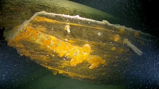 Dank des einzigartigen Projekts „Wracks und Tiefsee“ des Landesamts für Denkmalpflege Baden-Württemberg sind zahlreiche bisher unbekannte Wracks aufgespürt worden.