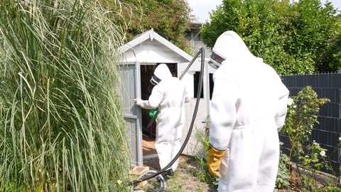 Zwei Asiatische-Hornissen-Nestentferner im Schutzanzug stehen mit einem Sauger vor einer Gartenhütte.