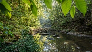 Die Sonne scheint im Schlichemtal bei Epfendorf im Landkreis Rottweil auf den Fluss Schlichem.