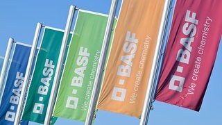 BASF-Fahnen (Symbolbild). Die BASF verkauft tausende Wohnungen in Ludwigshafen und der Region.