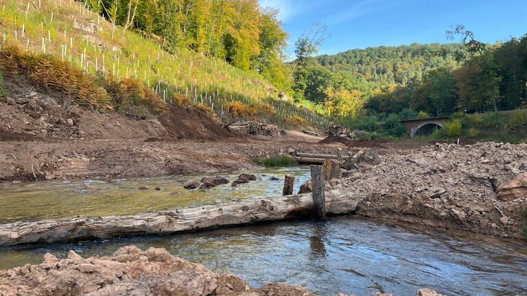 Ziel der Renaturierung im Moosalbtal sei es laut dem Bürgermeister, dass der Fluss in Schleifen verläuft und so an manchen Stellen schneller, an anderen langsamer verläuft. So schaffe man mehr Lebensraum für unterschiedliche Lebewesen.