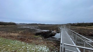 Der Grund des 80 Hektar großen Wiesensees im Westerwald ist erfolgreich abgemäht worden. 