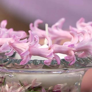 Ein Kranz aus Hyazintenblüten