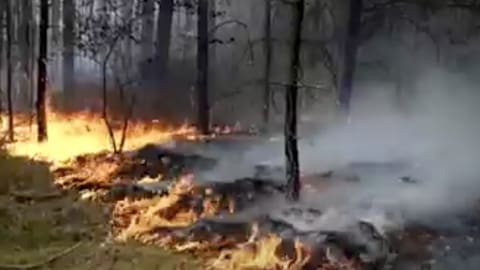 Waldbrand