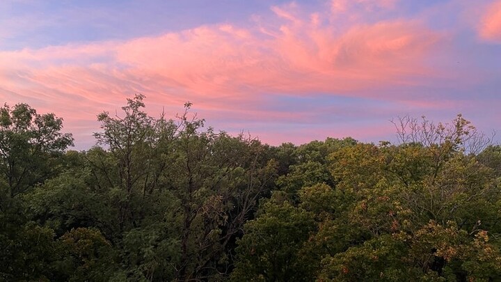 Der frühe Donnerstagmorgen in Mainz.