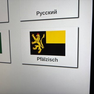 Reden kann der Automat im Bürgercenter Kaiserslautern noch nicht, aber pfälzisch geschrieben lässt sich mit unter recht kurios lesen.