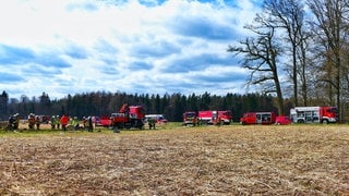 Großeinsatz der Feuerwehr nahe Stockach: Ein Pferd war in einem Gitter in einer Wassermulde steckengeblieben.