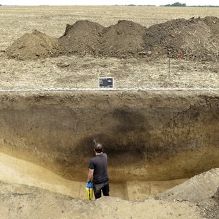Das Volumen von Gräben dient Archäologen als Indikator für sozialen Zusammenhalt. Hunderte von Menschen schlossen sich in einer koordinierten Anstrengung zusammen, um zu planen und die Erde zu bewegen. (Podhajska, Südwest-Slowakei, 2023 ausgegraben)