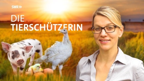 Die Tierärtzin und Tierschutzexpertin Dr. Nicole Kemper hat blondes Haar und eine dunkle Brille, sie trägt eine weiße legere Bluse. Sie ist rechts im Bild, als Hintergrund ist weites goldglänzendes Feld vor einer atmosphärisch strahlenden Sonne. Links von Frau Kemper ist in der Fotomontage ein geflecktes Schwein, ein weißer Truthahn und ein gelb-flauschiges Küken auf drei Eiern zu sehen.
