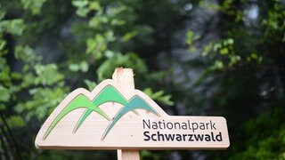 Ein Holzschild mit der Aufschrift "Nationalpark Schwarzwald"