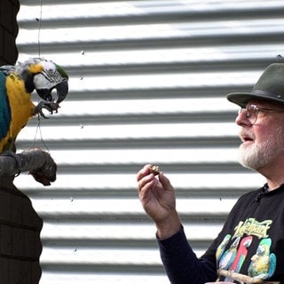 Roland Heinsch hilft ehrenamtlich im Vogelpark Kirrlach. Er steht neben einem Papagei und schaut ihn an.