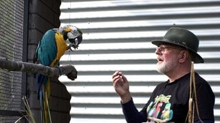 Roland Heinsch hilft ehrenamtlich im Vogelpark Kirrlach. Er steht neben einem Papagei und schaut ihn an.