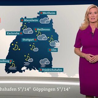 Wetter-Moderatorin Claudia Kleinert