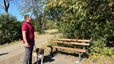 Hitze und Trockenheit gefährden die Bäume in der Region Trier 